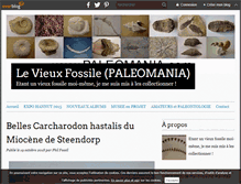 Tablet Screenshot of paleomania.com